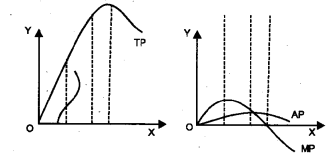 Plus Two Microeconomics Chapter Wise Previous Questions Chapter 3 Production and Costs 20