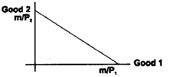 Plus Two Microeconomics Notes Chapter 2 Theory of Consumer Behaviour 2