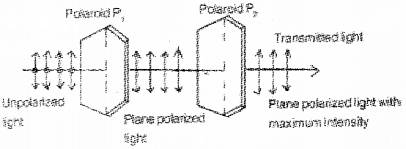 Plus Two Physics Chapter Wise Previous Questions Chapter 10 Wave Optic 9