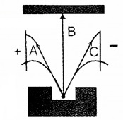 Plus Two Physics Chapter Wise Questions and Answers Chapter 13 Nuclei 2M Q3