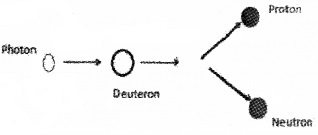 Plus Two Physics Chapter Wise Questions and Answers Chapter 13 Nuclei 3M Q8