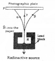 Plus Two Physics Chapter Wise Questions and Answers Chapter 13 Nuclei 5M Q2.2