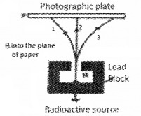 Plus Two Physics Chapter Wise Questions and Answers Chapter 13 Nuclei 5M Q2