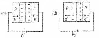 Plus Two Physics Chapter Wise Questions and Answers Chapter 14 Semiconductor Electronics Materials, Devices and Simple Circuits Textbook Questions 4M Q9.1