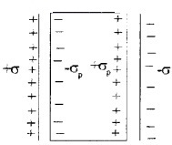 Plus Two Physics Chapter Wise Questions and Answers Chapter 2 Electric Potential and Capacitance 5M Q2.2