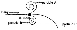 Plus Two Physics Chapter Wise Questions and Answers Chapter 4 Moving Charges and Magnetism 5M Q7