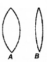 Plus Two Physics Chapter Wise Questions and Answers Chapter 9 Ray Optics and Optical Instruments 5M Q8