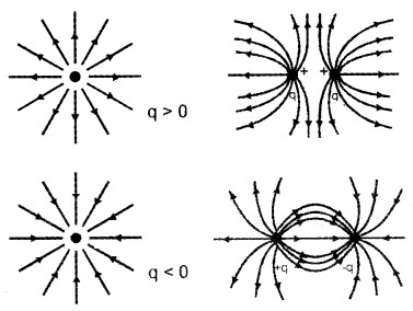 Plus Two Physics Notes Chapter 1 Electric Charges and Fields 15