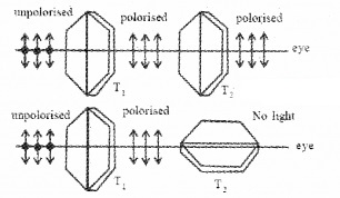 Plus Two Physics Notes Chapter 10 Wave Optic 35