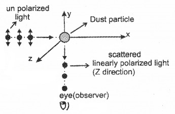 Plus Two Physics Notes Chapter 10 Wave Optic 37