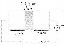 Plus Two Physics Notes Chapter 14 Semiconductor Electronics Materials, Devices and Simple Circuits 18