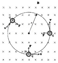 Plus Two Physics Notes Chapter 4 Moving Charges and Magnetism 3