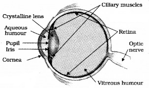 Plus Two Physics Notes Chapter 9 Ray Optics and Optical Instruments 64