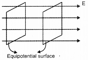 Plus Two Physics Previous Year Question Paper March 2019, 10