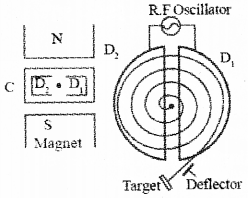 Plus Two Physics Previous Year Question Paper March 2019, 30