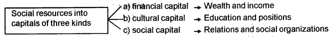 Plus Two Sociology Chapter Wise Questions and Answers Chapter 5 Patterns of Social Inequality and Exclusion Q12