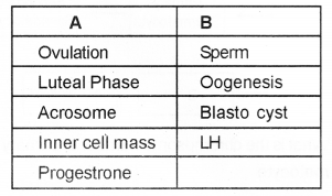 Plus Two Zoology Chapter Wise Previous Questions Chapter 1 Human Reproduction 15