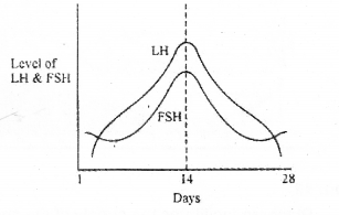 Plus Two Zoology Chapter Wise Previous Questions Chapter 1 Human Reproduction 2