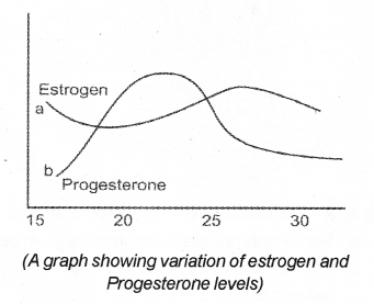 Plus Two Zoology Chapter Wise Previous Questions Chapter 1 Human Reproduction 4