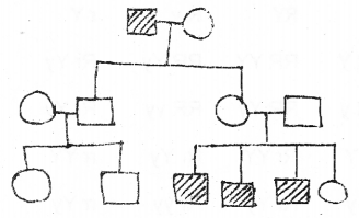 Plus Two Zoology Chapter Wise Previous Questions Chapter 3 Principles of Inheritance and Variation 14