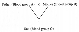 Plus Two Zoology Chapter Wise Previous Questions Chapter 3 Principles of Inheritance and Variation 19