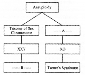 Plus Two Zoology Chapter Wise Previous Questions Chapter 3 Principles of Inheritance and Variation 21