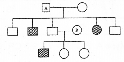 Plus Two Zoology Chapter Wise Previous Questions Chapter 3 Principles of Inheritance and Variation 27