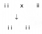 Plus Two Zoology Chapter Wise Previous Questions Chapter 3 Principles of Inheritance and Variation 8