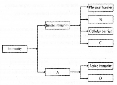 Plus Two Zoology Chapter Wise Previous Questions Chapter 6 Human Health and Disease 10