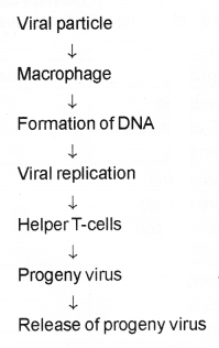 Plus Two Zoology Chapter Wise Previous Questions Chapter 6 Human Health and Disease 2