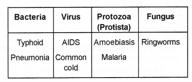 Plus Two Zoology Chapter Wise Previous Questions Chapter 6 Human Health and Disease 4