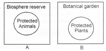 Plus Two Zoology Chapter Wise Previous Questions Chapter 8 Biodiversity and Conservation 2