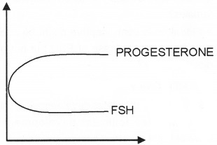 Plus Two Zoology Chapter Wise Questions and Answers Chapter 1 Human Reproduction 3M Q1