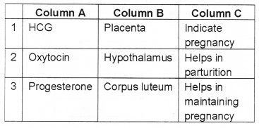 Plus Two Zoology Chapter Wise Questions and Answers Chapter 1 Human Reproduction 3M Q17.1