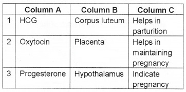 Plus Two Zoology Chapter Wise Questions and Answers Chapter 1 Human Reproduction 3M Q17