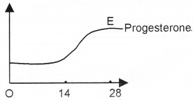 Plus Two Zoology Chapter Wise Questions and Answers Chapter 1 Human Reproduction 3M Q3.1