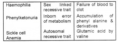 Plus Two Zoology Chapter Wise Questions and Answers Chapter 3 Principles of Inheritance and Variation 2M Q12.1