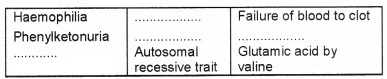 Plus Two Zoology Chapter Wise Questions and Answers Chapter 3 Principles of Inheritance and Variation 2M Q12