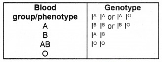 Plus Two Zoology Chapter Wise Questions and Answers Chapter 3 Principles of Inheritance and Variation 2M Q2