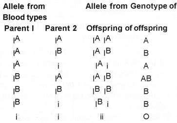 Plus Two Zoology Chapter Wise Questions and Answers Chapter 3 Principles of Inheritance and Variation 3M Q4