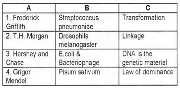 Plus Two Zoology Chapter Wise Questions and Answers Chapter 4 Molecular Basis of Inheritance 2M Q3.1