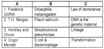 Plus Two Zoology Chapter Wise Questions and Answers Chapter 4 Molecular Basis of Inheritance 2M Q3