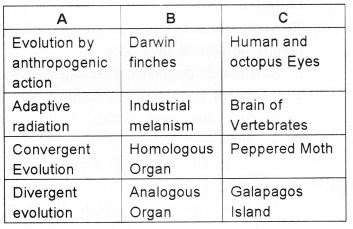 Plus Two Zoology Chapter Wise Questions and Answers Chapter 5 Evolution 3M Q5