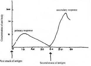 Plus Two Zoology Chapter Wise Questions and Answers Chapter 6 Human Health and Disease 2M Q19