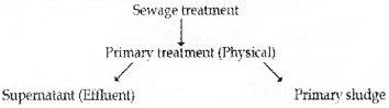 Plus Two Zoology Chapter Wise Questions and Answers Chapter 7 Microbes in Human Welfare 3M Q8