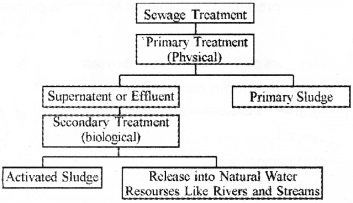 Plus Two Zoology Chapter Wise Questions and Answers Chapter 7 Microbes in Human Welfare 3M Q8.1