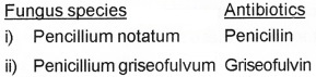 Plus Two Zoology Chapter Wise Questions and Answers Chapter 7 Microbes in Human Welfare Textbook Questions Q12