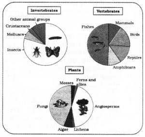 Plus Two Zoology Chapter Wise Questions and Answers Chapter 8 Biodiversity and Conservation 2M Q1