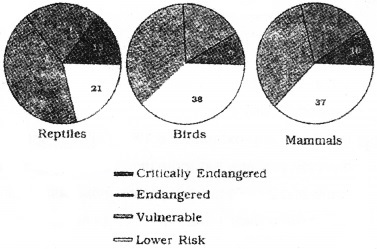 Plus Two Zoology Chapter Wise Questions and Answers Chapter 8 Biodiversity and Conservation 2M Q24