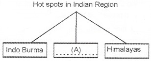 Plus Two Zoology Chapter Wise Questions and Answers Chapter 8 Biodiversity and Conservation Sample Questions Q1